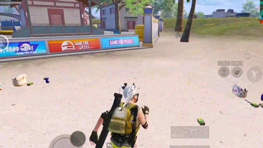 和平精英正规卖挂平台【小笼包一体直装】午后